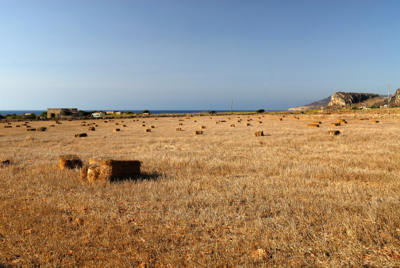 Isola di Favignana-14.JPG